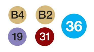 L19-L31-L36-B2-B4