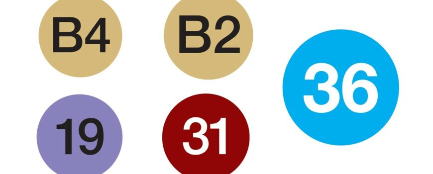 L19-L31-L36-B2-B4