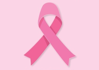 lazo_rosa_2025_txikia